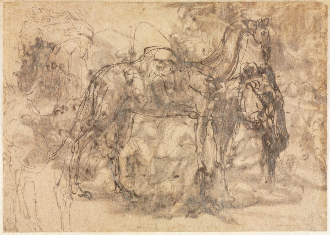 Perin del Vaga - 231, Schizzi di animali